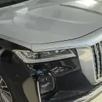 Hongqi Hongqi H9 2020 из Китая