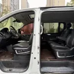 大通 G20 2021 из Китая