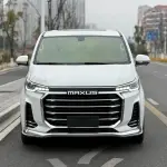 大通 G20 2021 из Китая