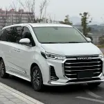 大通 G20 2021 из Китая