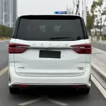 大通 G20 2021 из Китая
