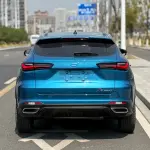 Oshan Oushang X5 2021 из Китая
