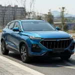 Oshan Oushang X5 2021 из Китая