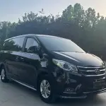 大通 G10 2019 из Китая