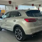 Hongqi Hongqi HS5 2021 из Китая