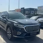 Hongqi Hongqi HS5 2023 из Китая