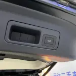 GAC Motor Trumpchi M8 2022 из Китая