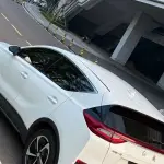 Hongqi Hongqi E-HS3 2021 из Китая