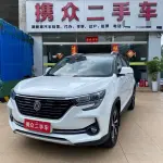 Fengxing Fengxing T5 2019 из Китая