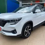 Fengxing Fengxing T5 2019 из Китая