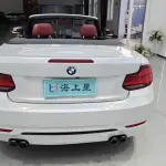 BMW 2 Series (Import) 2021 из Китая