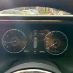 Hongqi 红旗金葵花国耀 2024 из Китая