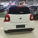 smart Smart Forfour 2018 из Китая