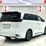 Denza Denza D9 2023 из Китая