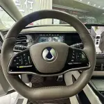 Denza Denza D9 2023 из Китая