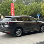 Mazda CX-8 2019 из Китая