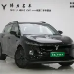 VOYAH Zhiyin 2024 из Китая
