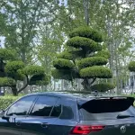 Volkswagen Golf GTI 2022 из Китая