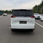 大通 G50 2019 из Китая