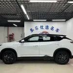 Aeolus 东风风神L7 2024 из Китая