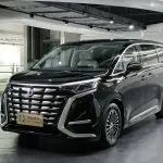 Denza Denza D9 2023 из Китая
