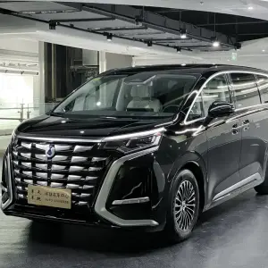 Denza Denza D9 2023 из Китая