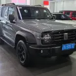 Tank Tank 300 2022 227 л.с. — лот 57049088 из Китая