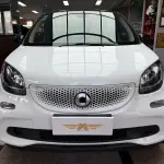 smart Smart Forfour 2019 из Китая