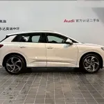 Audi Q4 e-tron 2024 из Китая