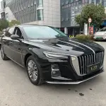 Hongqi Hongqi H5 2023 из Китая