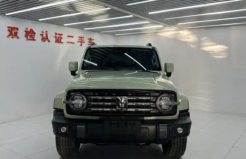 Tank Tank 300 2023 из Китая