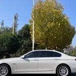 BMW 5 Series 2016 218 л.с. — лот 56790355 из Китая