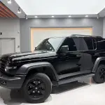 Tank Tank 300 2024 227 л.с. из Китая