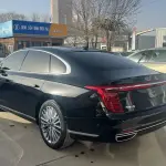 Hongqi Hongqi H9 2021 из Китая