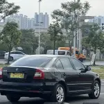 Skoda Octavia 2013 из Китая