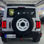 Tank Tank 300 2024 из Китая