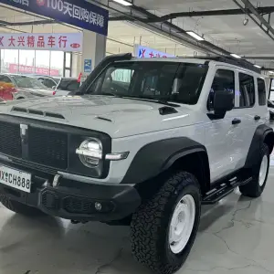 Tank Tank 300 2024 из Китая
