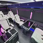 Hongqi 红旗金葵花国悦 из Китая
