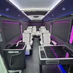 Hongqi 红旗金葵花国悦 из Китая