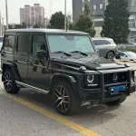 Mercedes-Benz G-Class 2016 из Китая