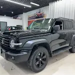Tank Tank 300 2021 из Китая