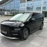 Zeekr 009 2025 лот 56698336 из Китая