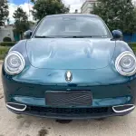 Ora Ora Good Cat 2023 из Китая