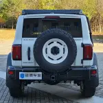 Tank Tank 300 2023 из Китая