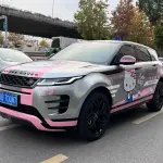 Land Rover Evoque 2021 из Китая