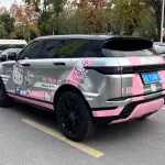 Land Rover Evoque 2021 из Китая
