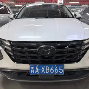 Hyundai Tucson 2021 200 л.с. из Китая