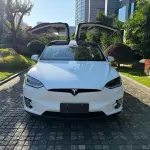 Tesla Model X 2016 из Китая