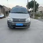 Fengxing Lingzhi 2014 из Китая