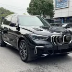 BMW X5 2022 245 л.с. — лот 57009184 из Китая